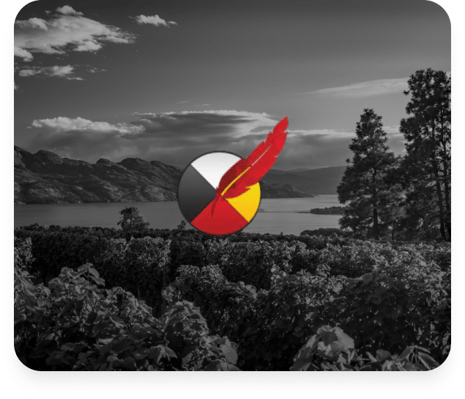 Okanagan Clinical Counselling logo overlaid on a black and white landscape of Abbotsford lake and mountains with vegetation in the foreground