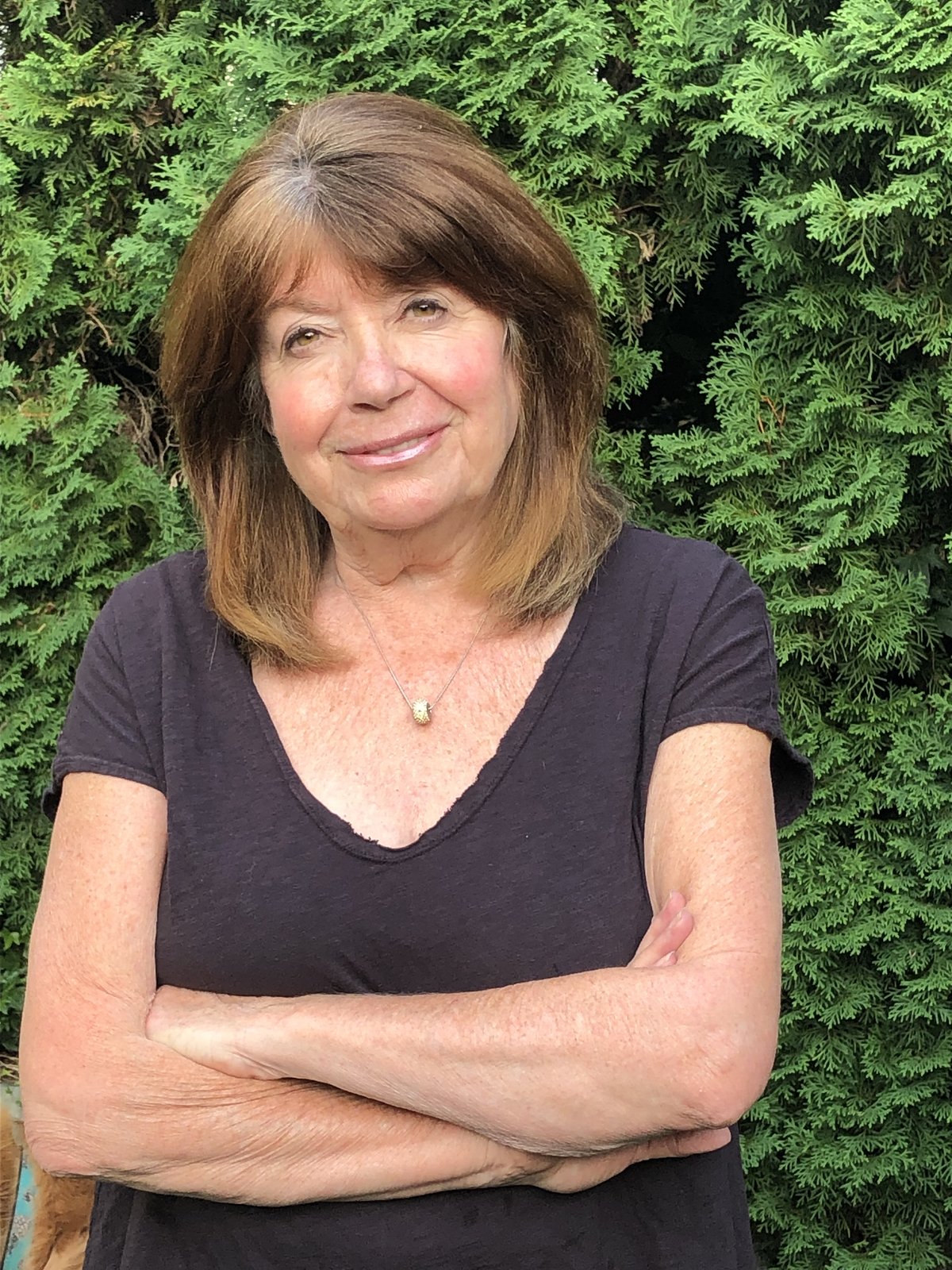 Susan McClain Fort Langley artist