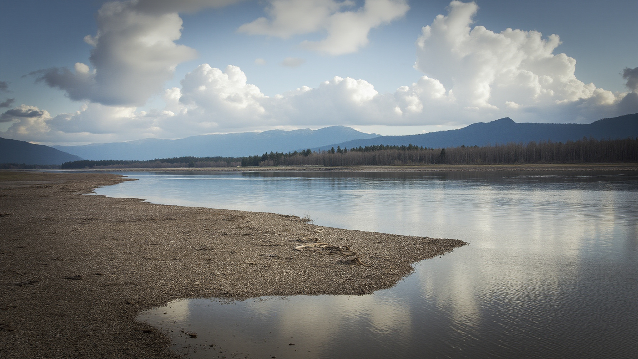 matsquitrail sec2 abbotsford Matsqui Trail Regional Park: Abbotsford's Best Flat River Walk Wildlife Along the Trail